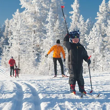Domek alpejski Rokuanhovin Moekit Rokua