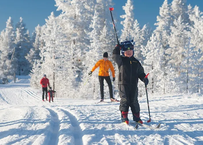 Domek alpejski Rokuanhovin Moekit Rokua